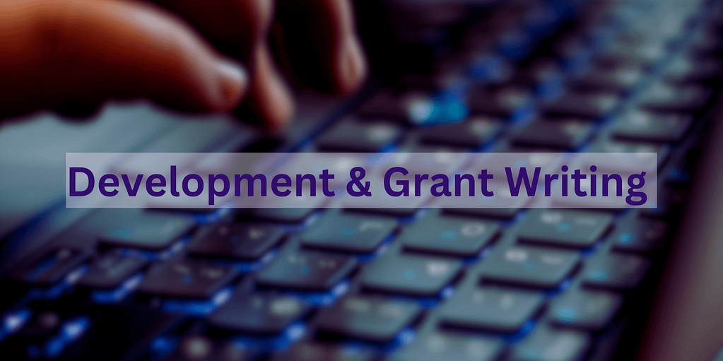 Development and grant writing services, Acuity Consulting Denver Based Nonprofit Expert