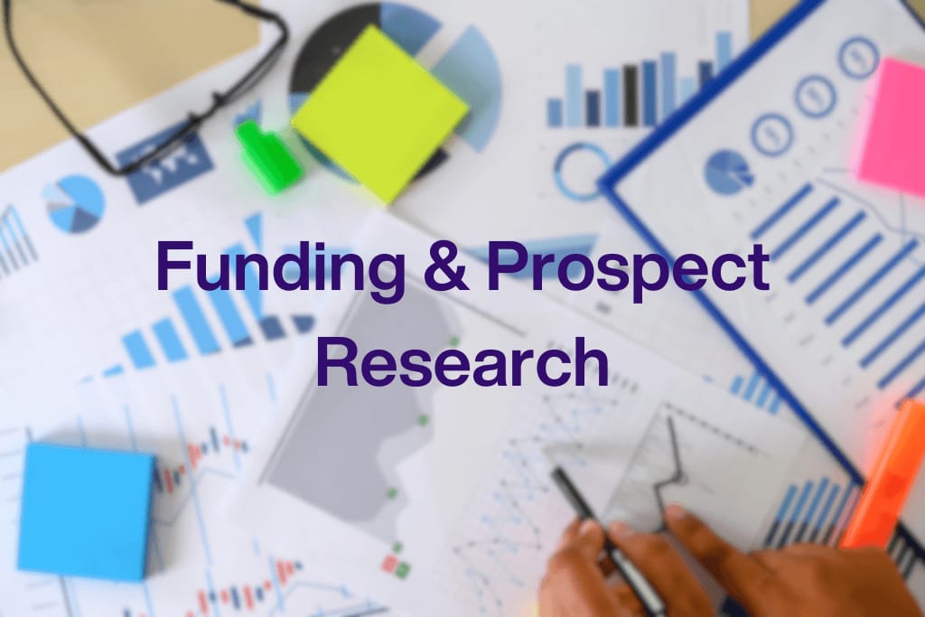 Funding and Prospect Research, Acuity Consulting LLC, Nonprofit Fundraising Experts