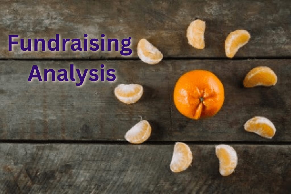 Fundraising Analysis, Acuity Consulting LLC, Nonprofit Experts