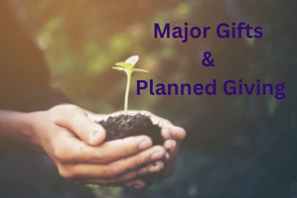 Major Gifts and Planned Giving, Nonprofit Fundraising expert Colorado